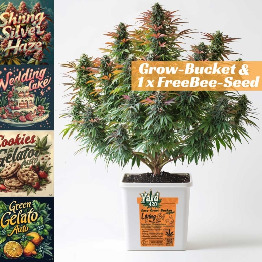 Grow Bucket Living Soil organic